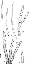 Fig. 87.