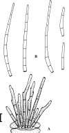 Fig. 70.