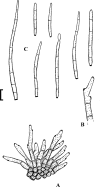 Fig. 73.
