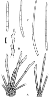 Fig. 71.