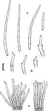 Fig. 82.
