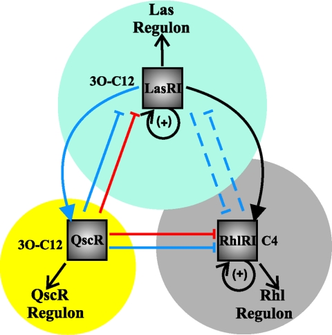 FIG. 1.