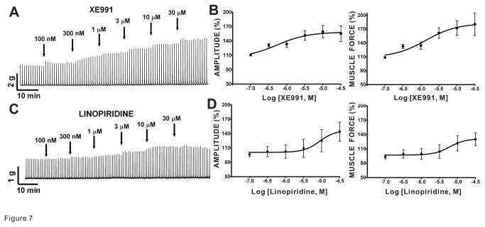 Figure 7