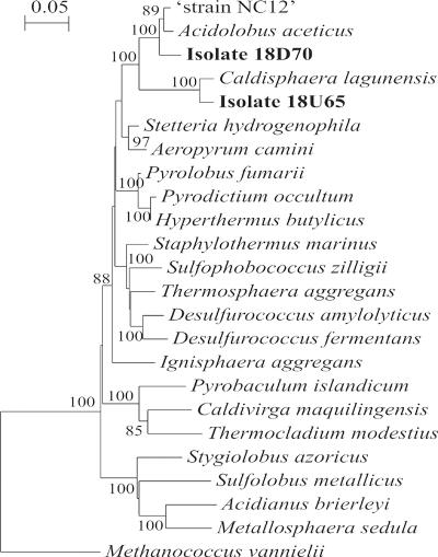 FIG. 4.