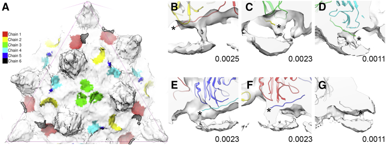 Figure 5