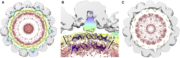 Figure 4