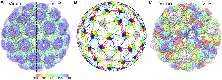 Figure 3