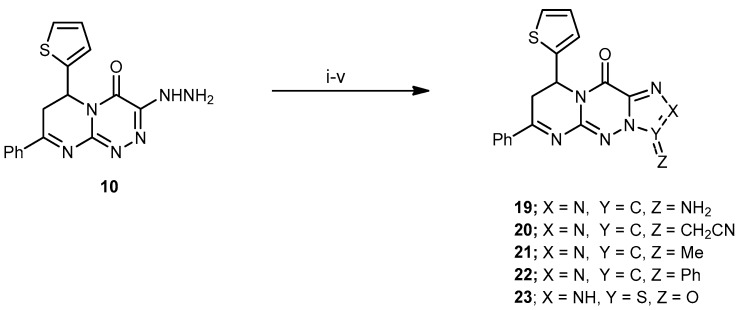 Scheme 5