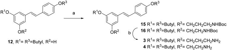 Scheme 3.