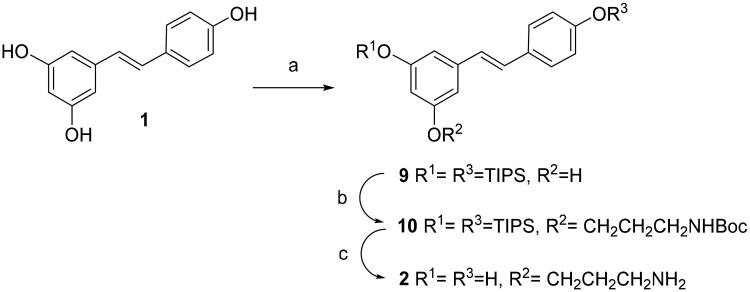 Scheme 1.