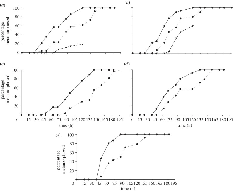 Figure 2.