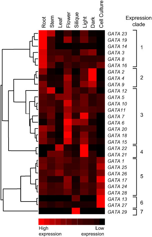 Figure 5.