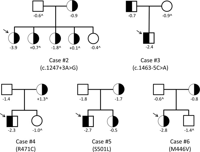 Figure 2.