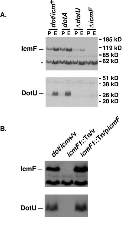 FIG. 5.