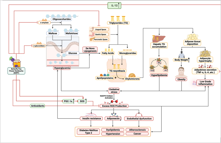 Fig. 10