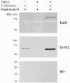 FIG. 7.