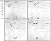 FIG. 5.