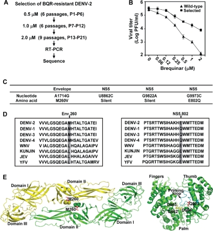 FIG. 4.