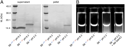 Fig. 5.