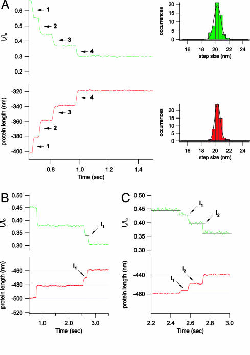 Fig. 4.