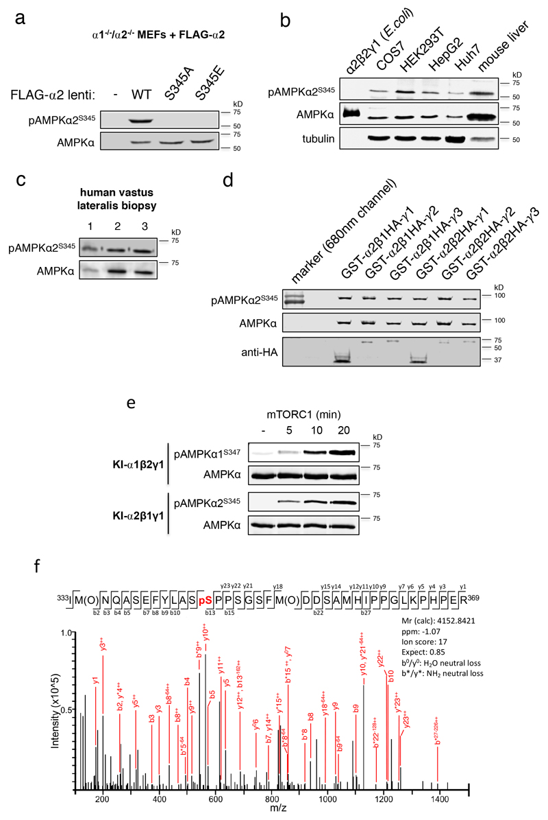 Extended Data Figure 2