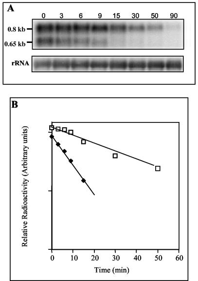 FIG. 9.