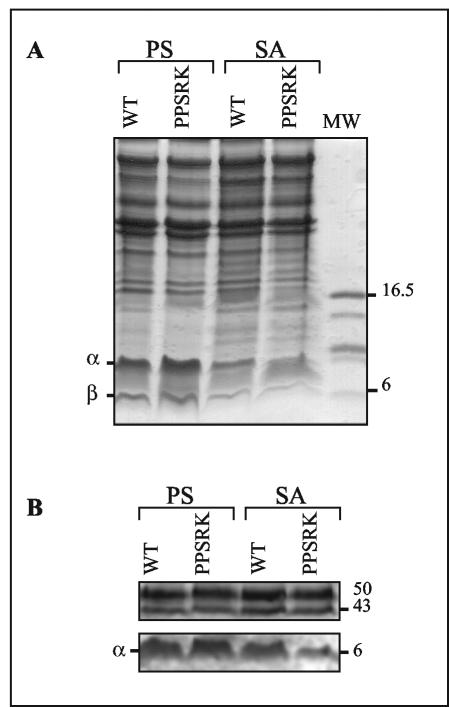 FIG. 10.