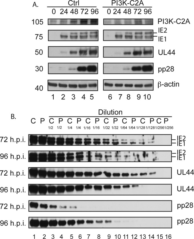 FIG 4