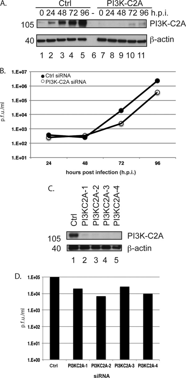 FIG 3