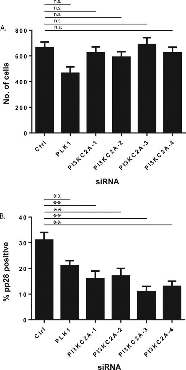 FIG 2