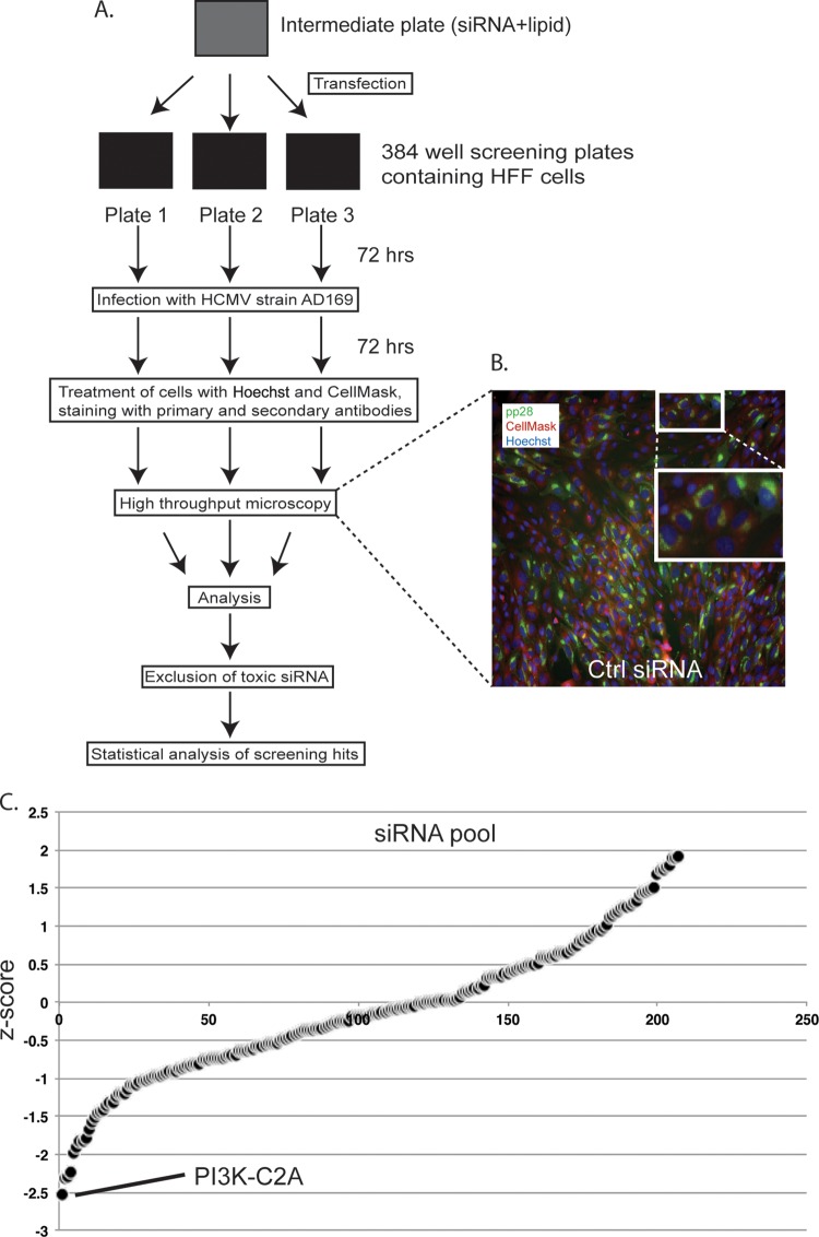 FIG 1