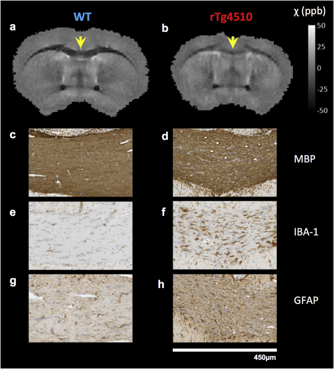 Fig. 7