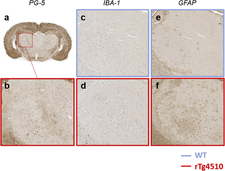 Fig. 8