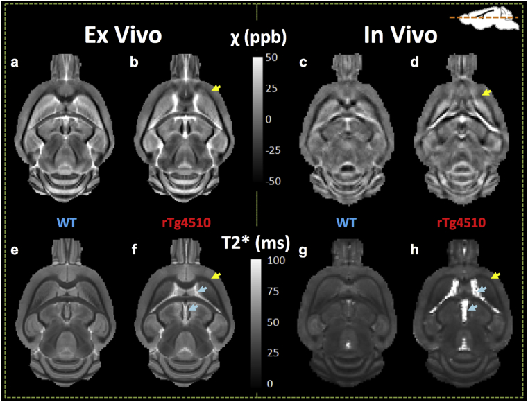 Fig. 3