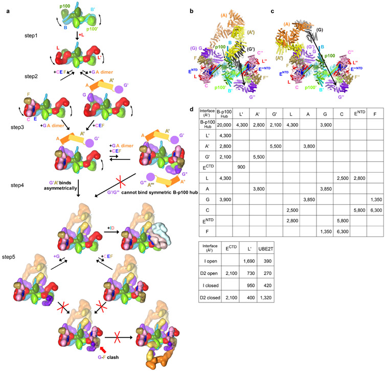 Extended Data Fig. 5