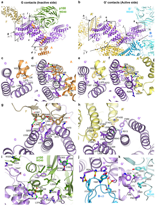 Extended Data Fig. 6