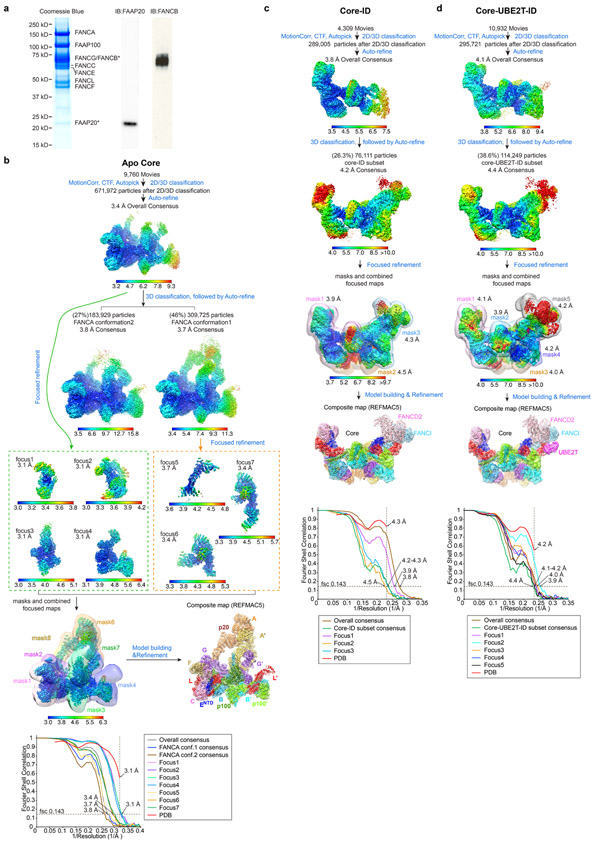 Extended Data Fig. 1