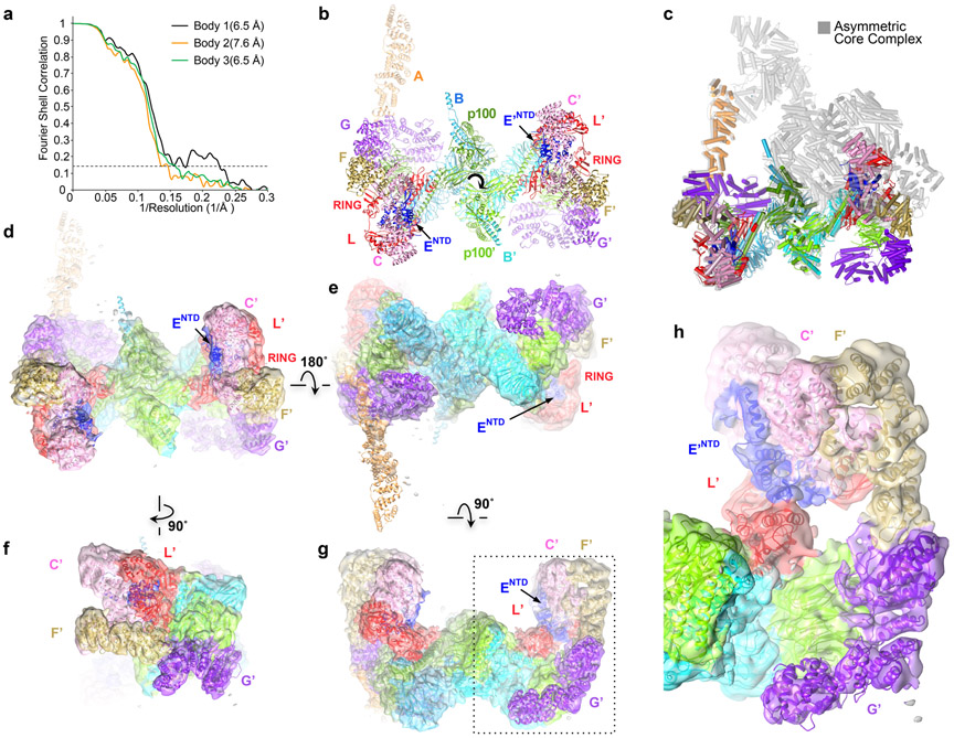 Extended Data Fig. 7