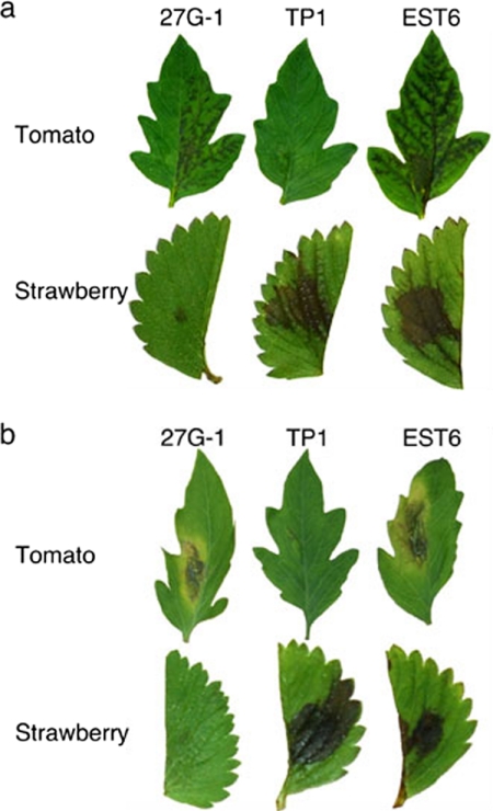 FIG. 7.