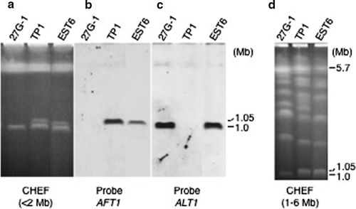 FIG. 8.