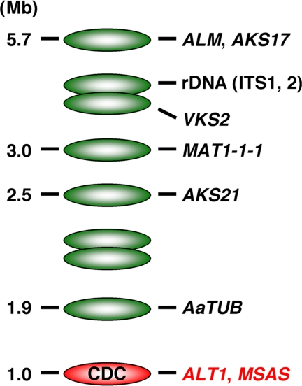 FIG. 3.