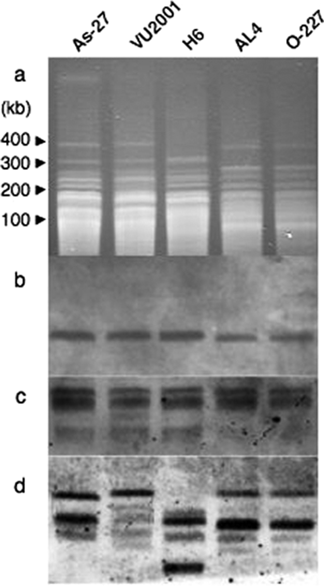 FIG. 6.