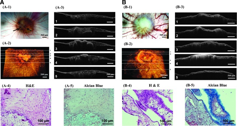 FIG. 7.