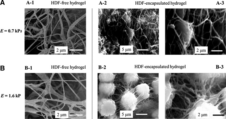 FIG. 5.