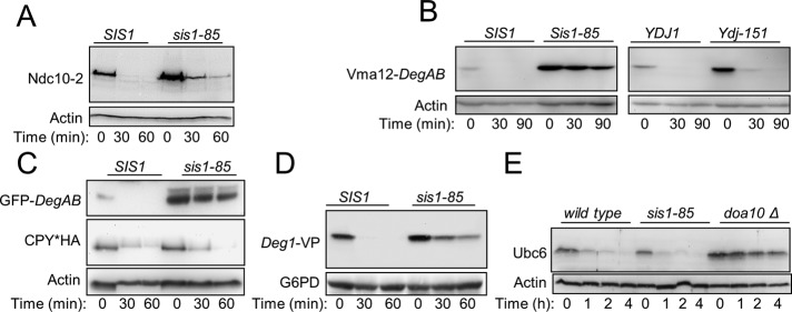 FIGURE 2: