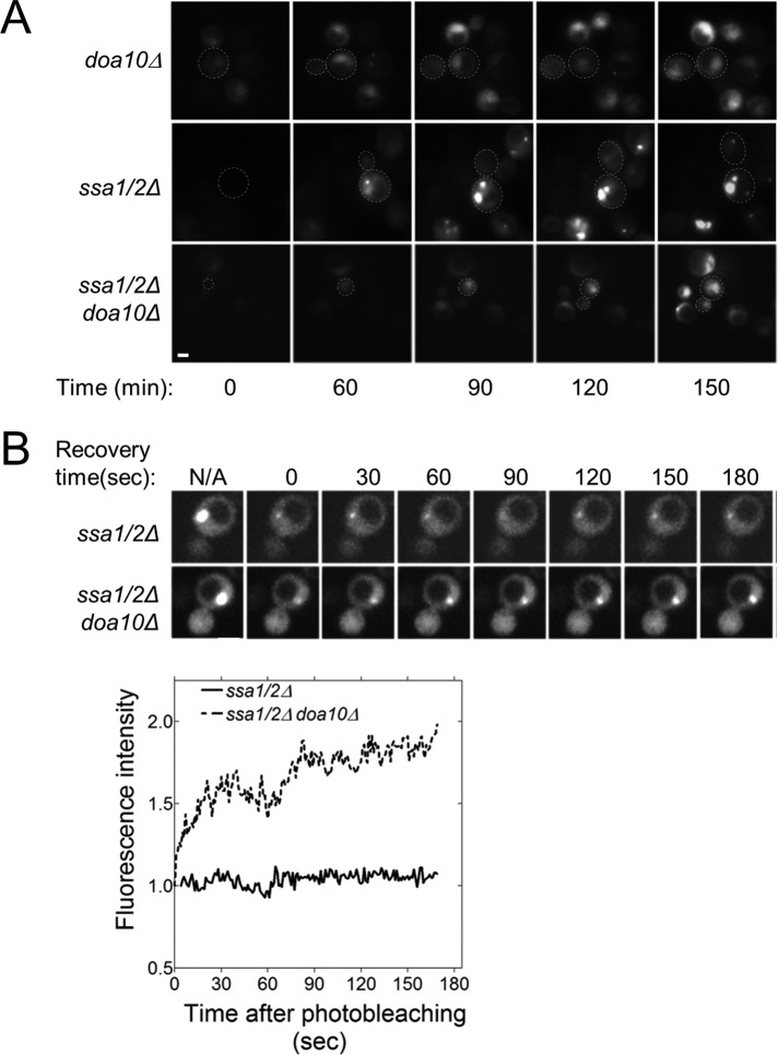 FIGURE 7: