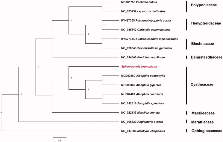 Figure 1.