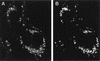FIG. 8