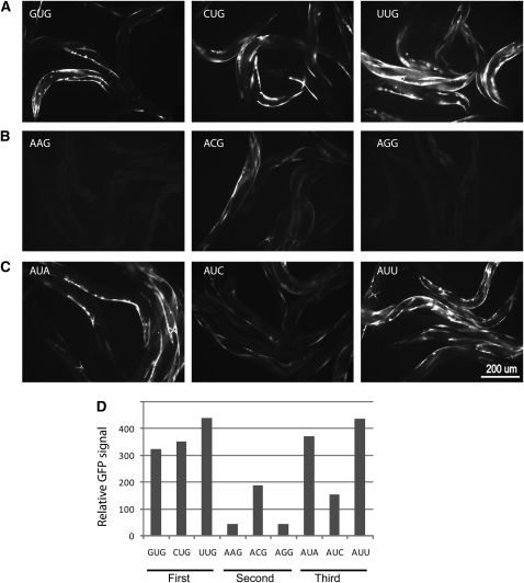 Figure 4.—