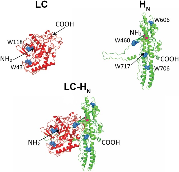 Fig 1